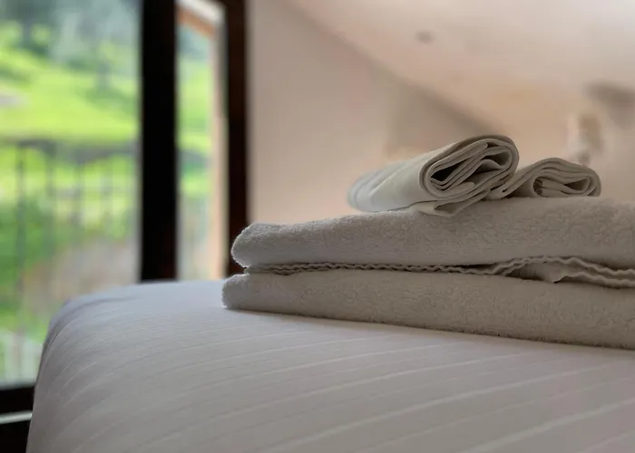 Shanti Home (Adults Only)