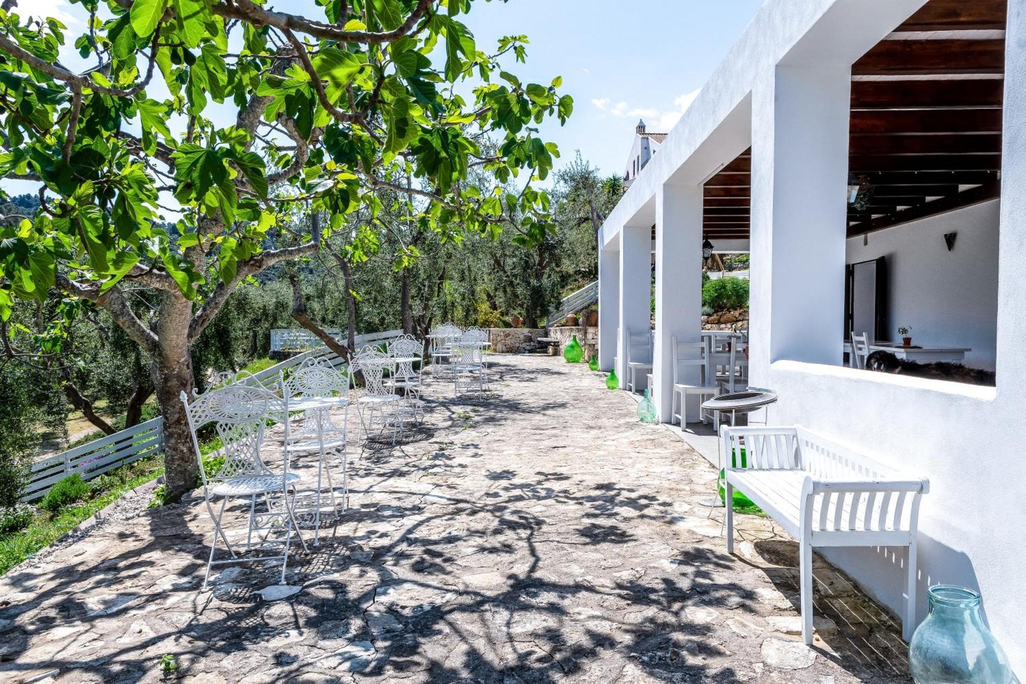 Bed & Breakfast Shanti (adults Only)