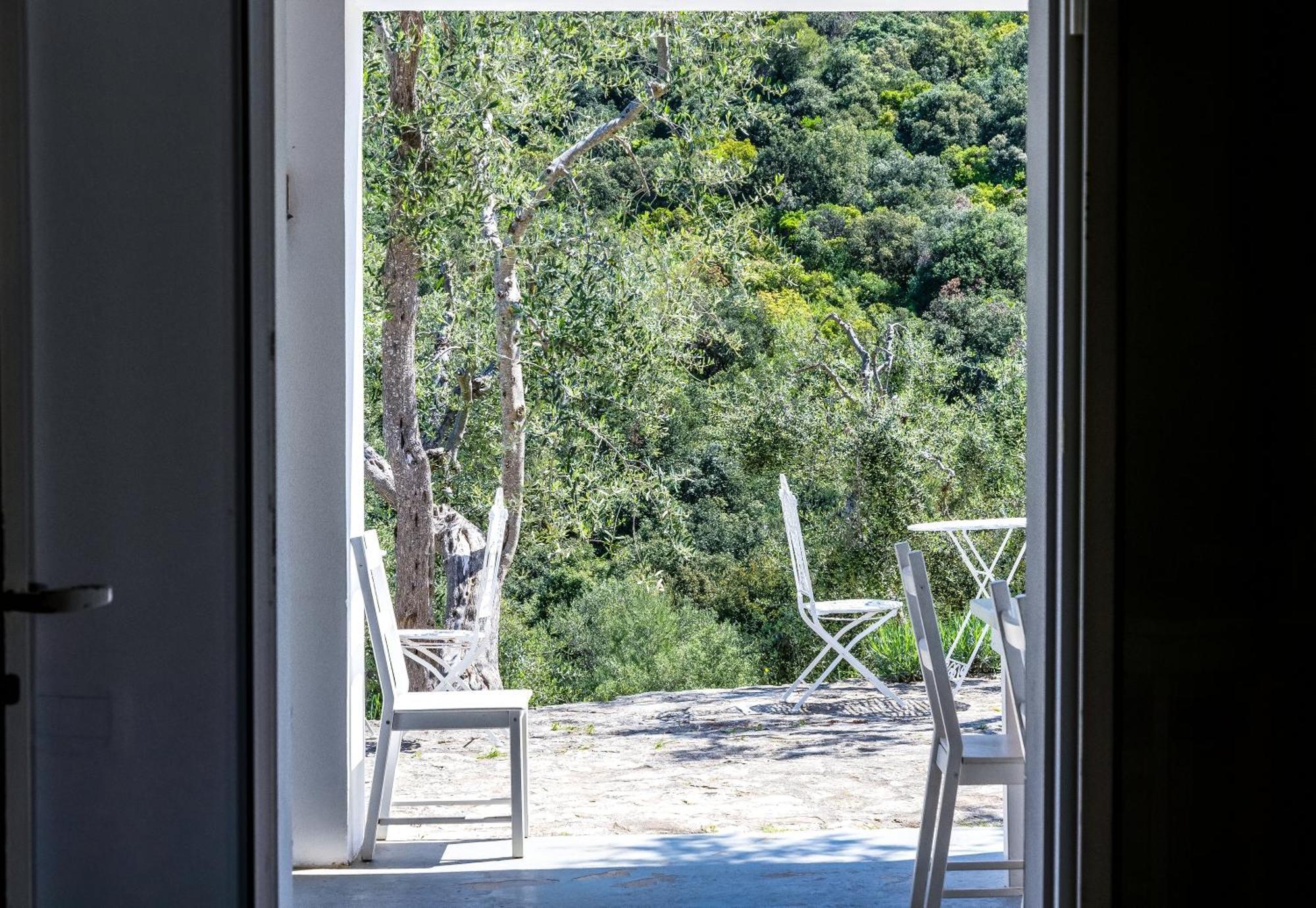 Bed & Breakfast Shanti (adults Only)