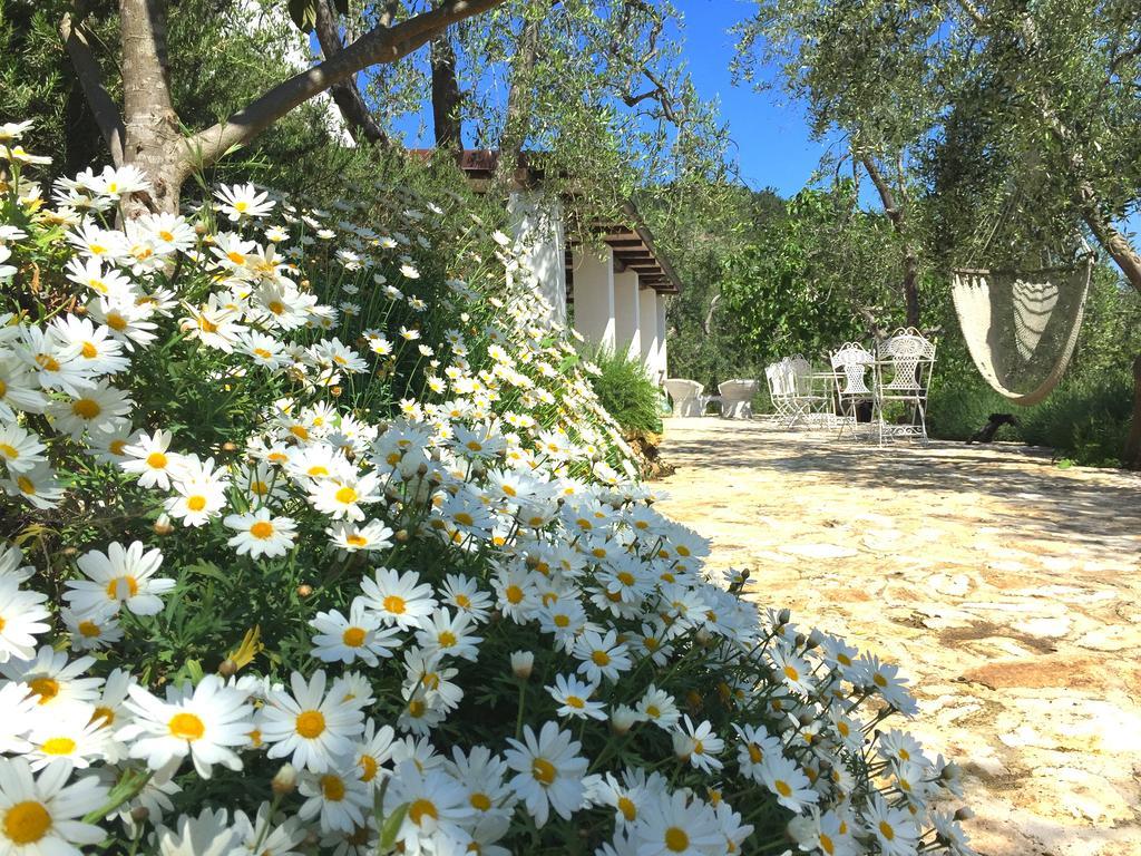 Bed & Breakfast Shanti (adults Only) Vieste